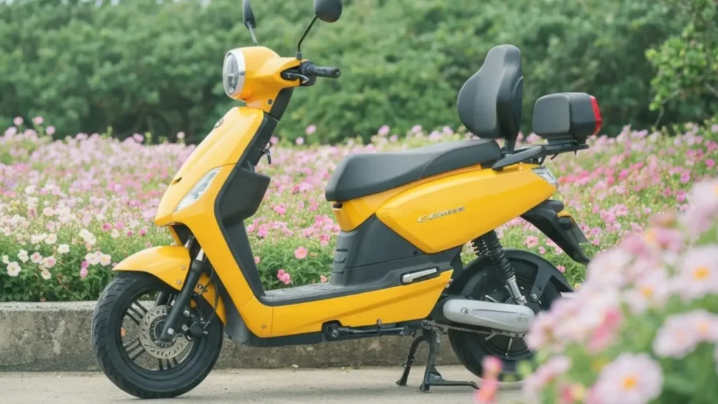 Okinawa Cruise Electric Scooter